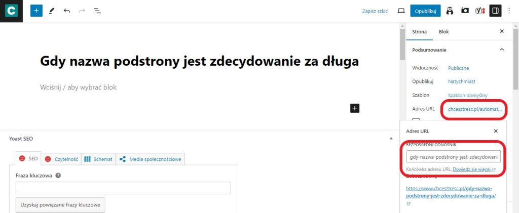 Screen przedstawiający, gdzie zmienić adres URL podstrony na WordPress.